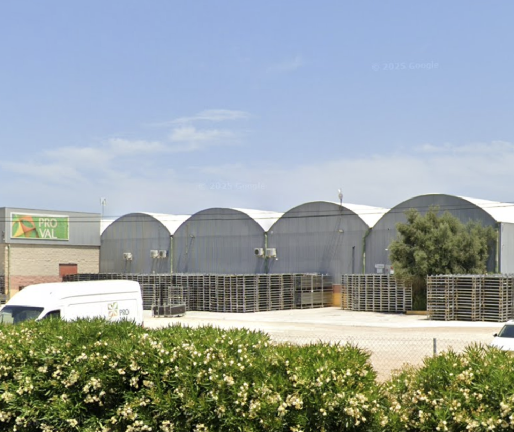 image (2)