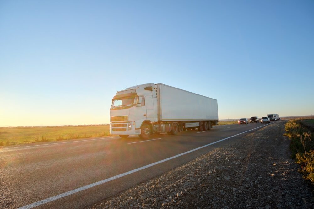Imagen de Plantación del esqueje